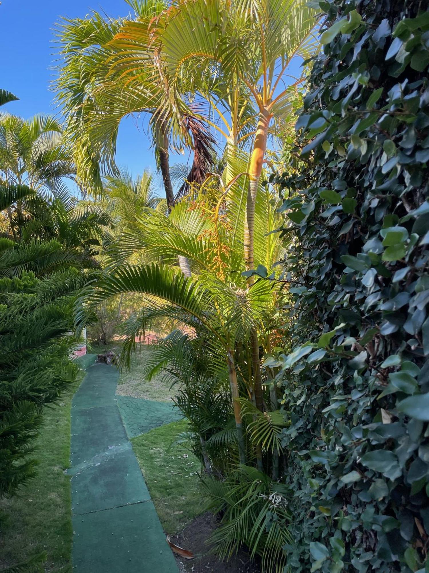טר-דה-או Jardin Sur Mer מראה חיצוני תמונה